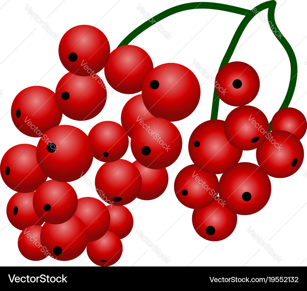Flat design icon of black currant in ui colors vector image