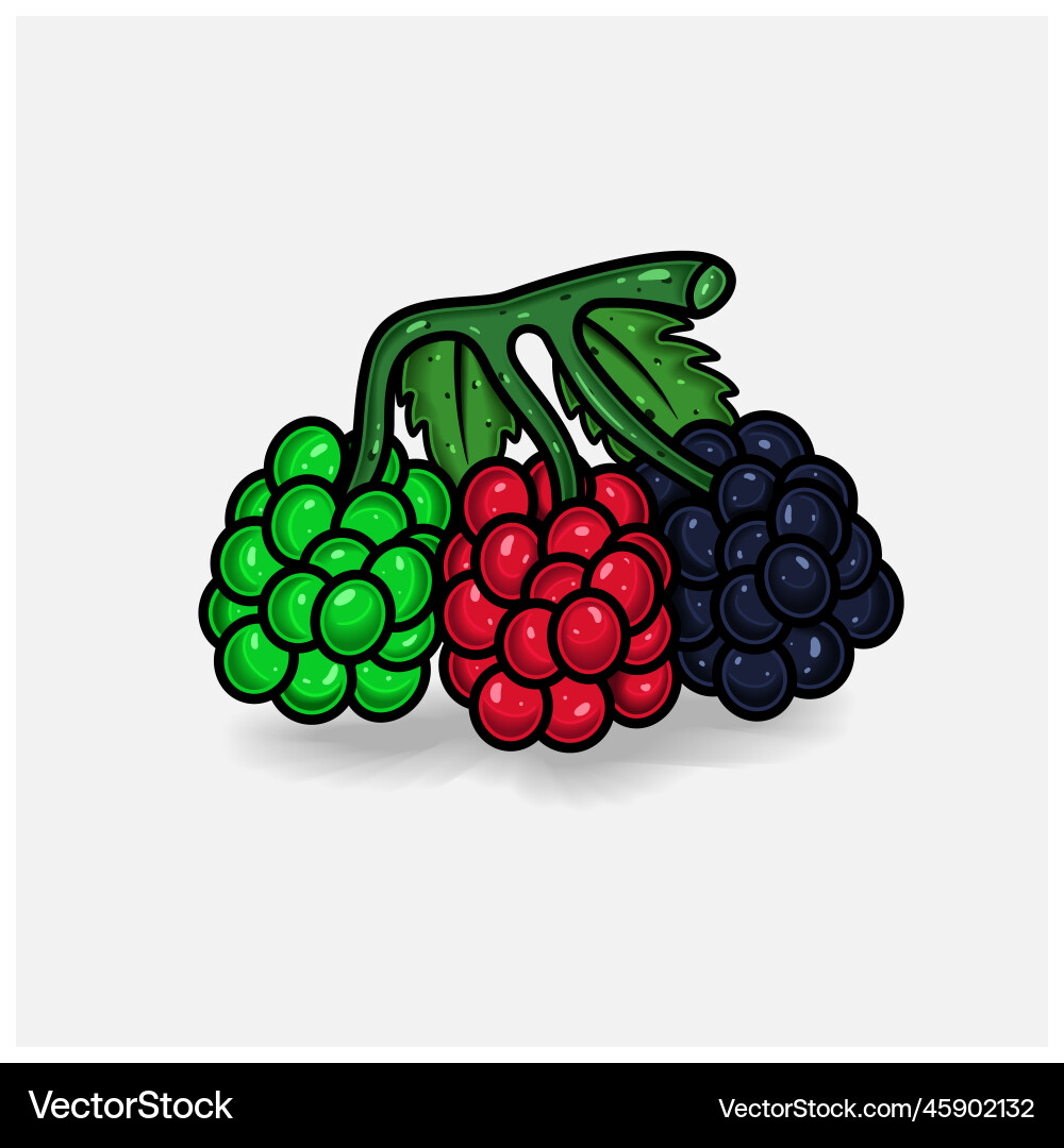 Raspberry fruit cartoon with simple gradient vector image