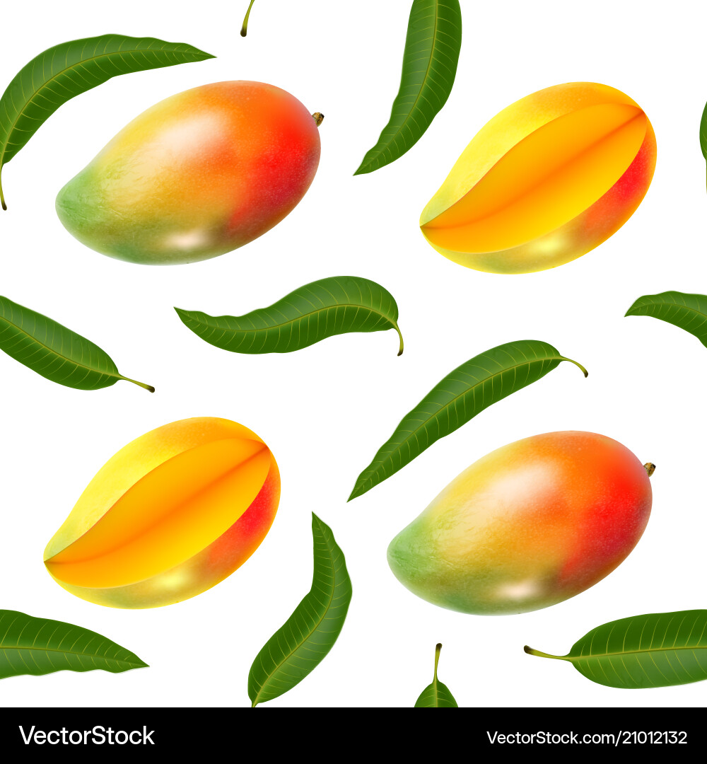 Seamless pattern with realistic mango Seamless pattern with realistic mango vector image
