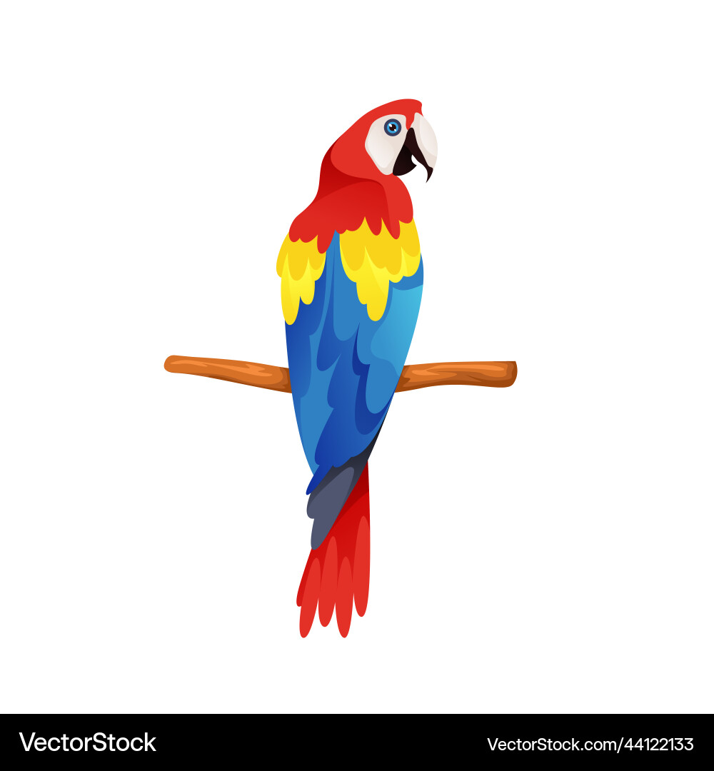 Scarlet macaw or parrot icon clipart