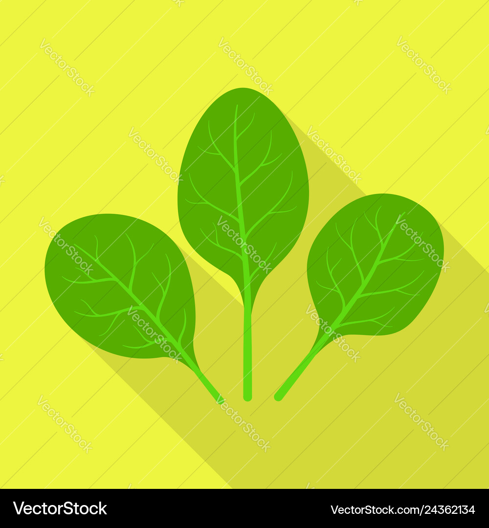 Spinach icon flat style Royalty Free Vector Image