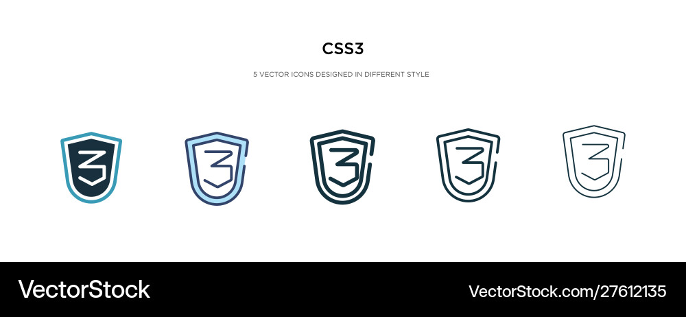 Css3 icon in different style two colored vector image
