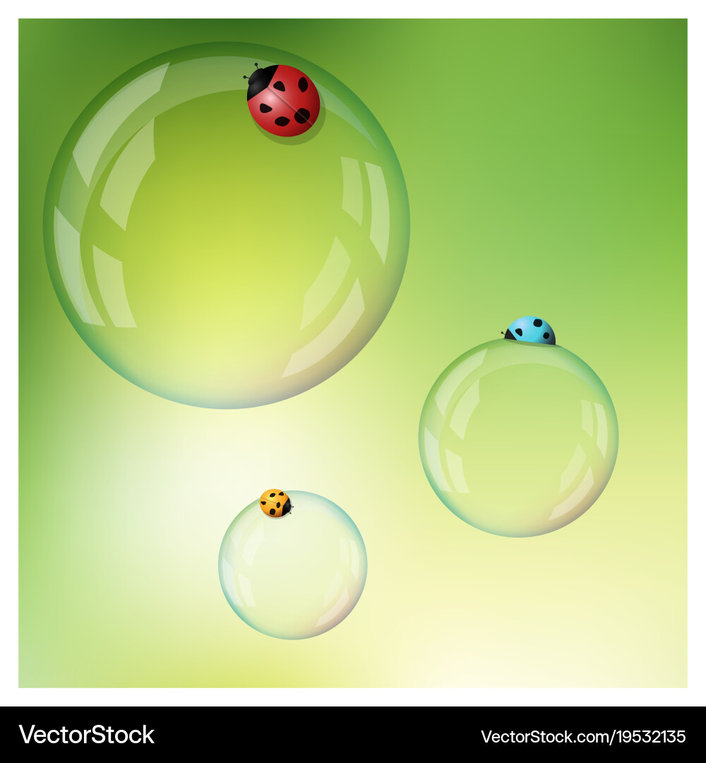 Ladybugs on Soap Bubbles - Spring vector image