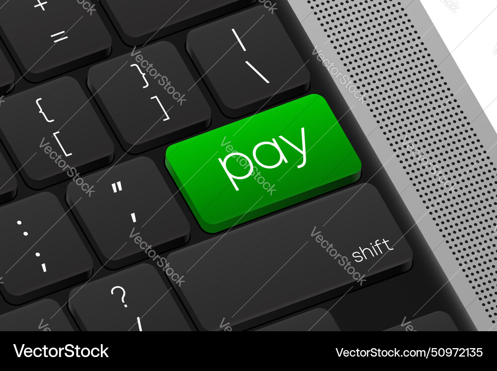 Pay button computer keyboard word on pc Pay button computer keyboard word on pc vector image