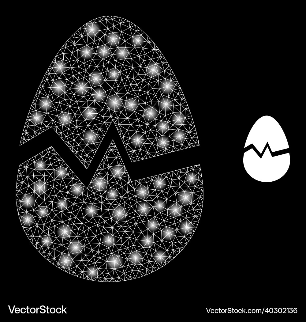 Mesh web broken egg with illuminated wire Mesh web broken egg with illuminated wire vector image