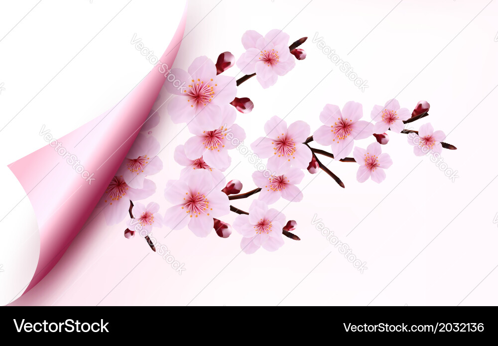 Spring background a blossoming tree branch Vector Image
