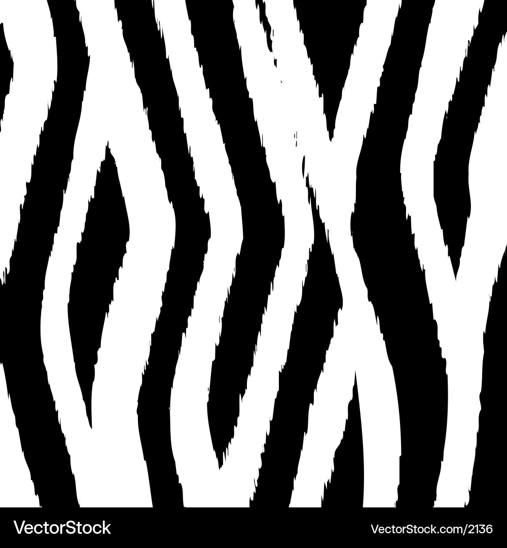 Zebra Striped Pattern Vector Image