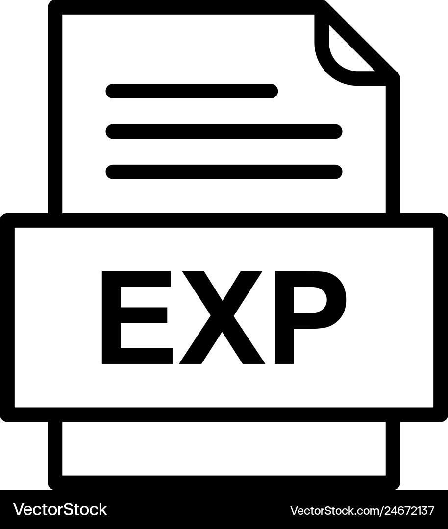 Exp file document icon Vector Image
