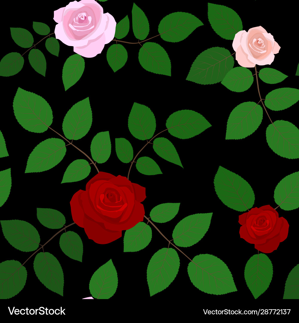 Rose flowers seamless pattern on black background Rose flowers seamless pattern on black background vector image