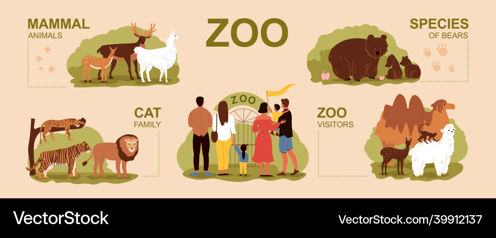 Zoo infographic set Royalty Free Vector Image - VectorStock