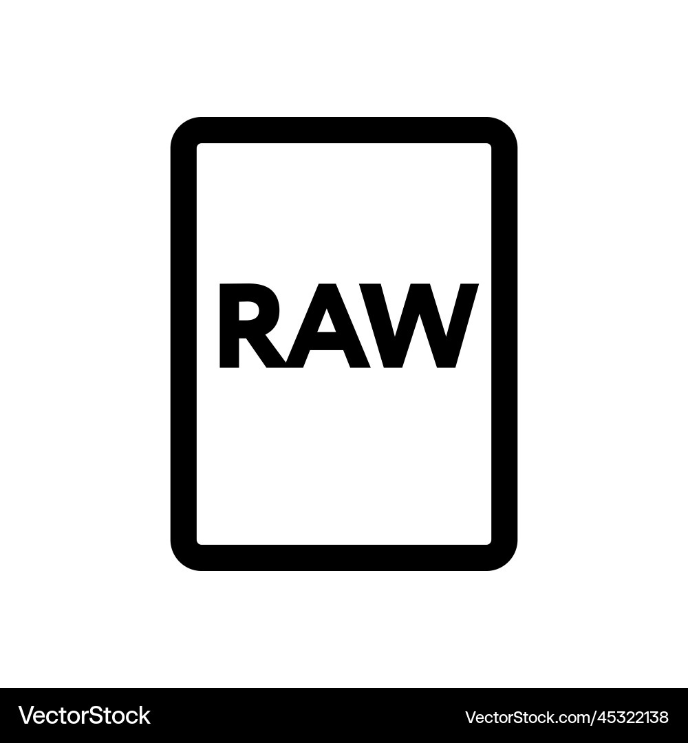 Raw file icon line isolated on white background vector image