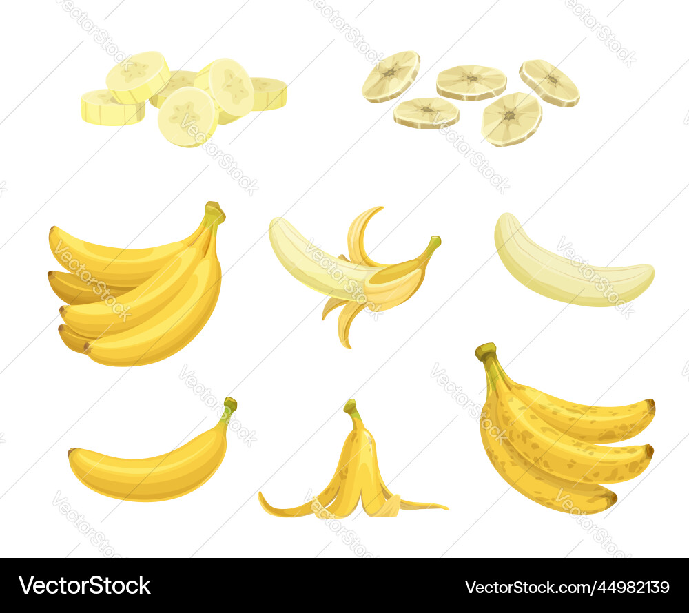 Cartoon ripe and dried banana fruit snacks Cartoon ripe and dried banana fruit snacks vector image