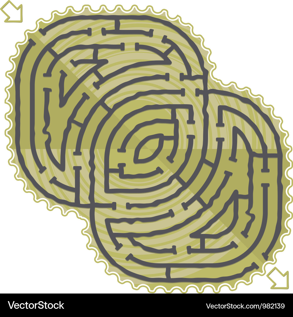 Intricate Maze Pattern vector image