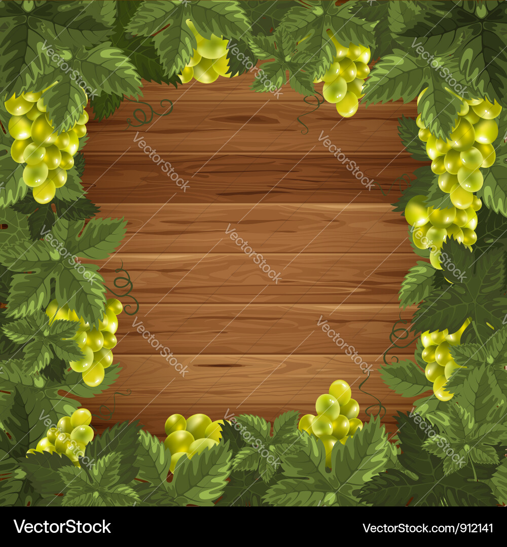 Grape frame vector image