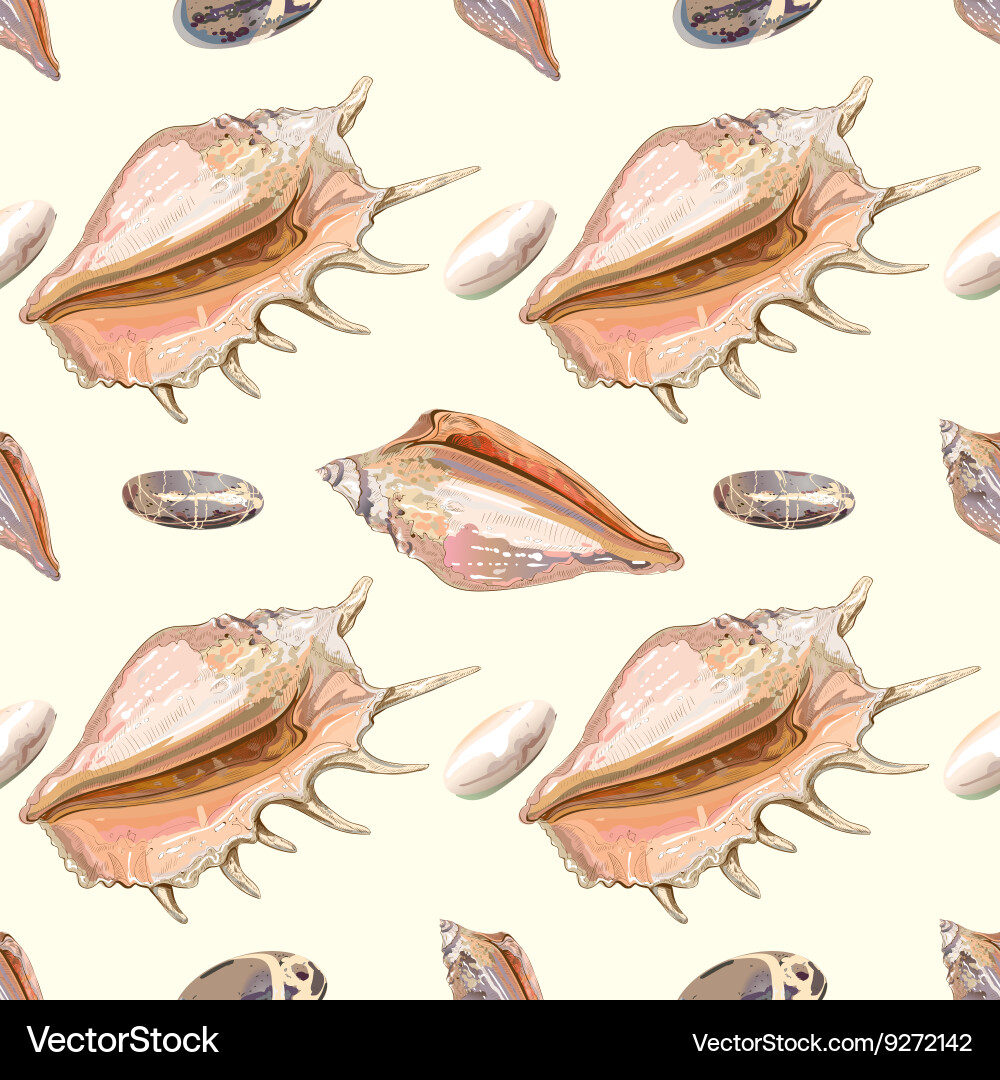 Sea shell seamless pattern vector image