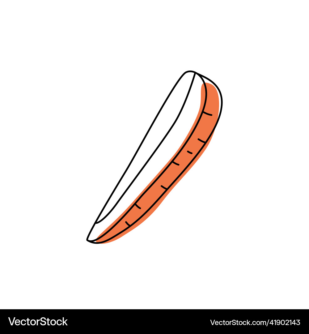 Doodle outline slice carrot with spot Vector Image
