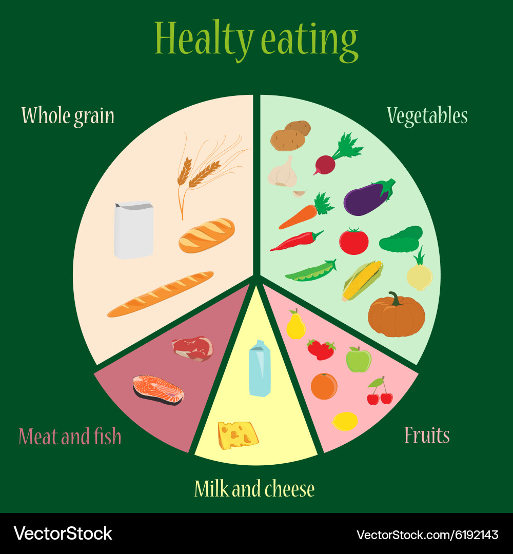 Healthy Eating Chart Royalty Free Vector Image