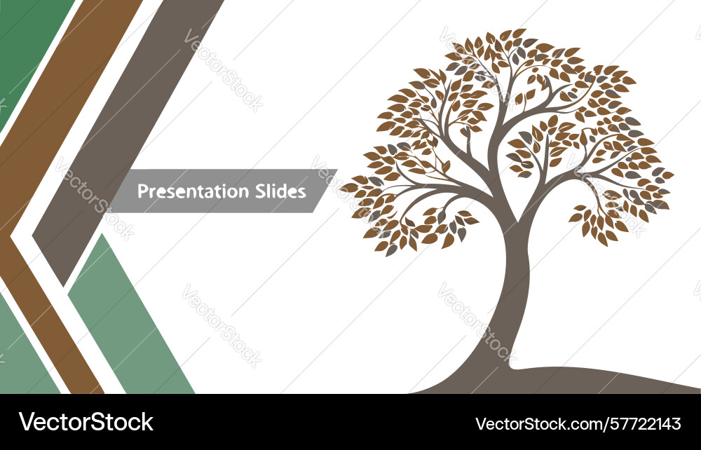 Presentation slides with tree growth concept Vector Image