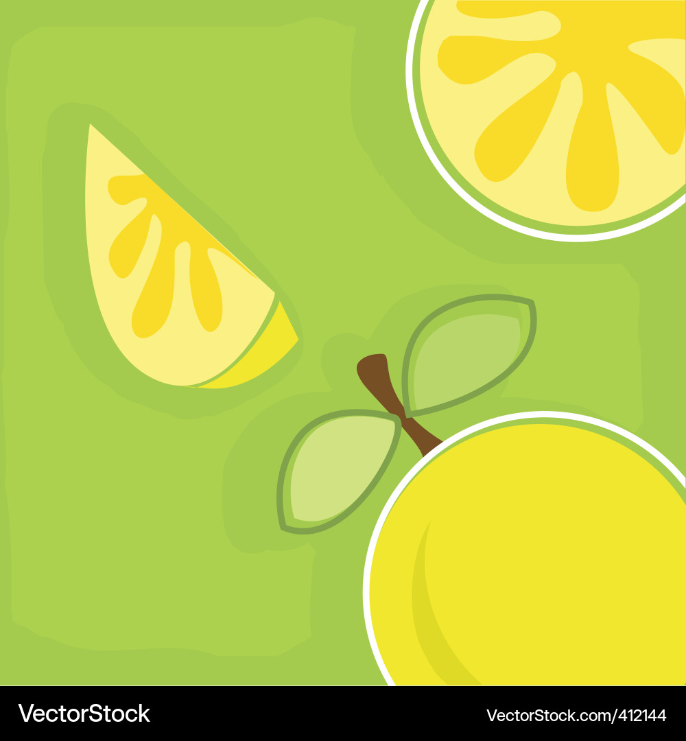 Citrus Fruits on Green Background Vector Image