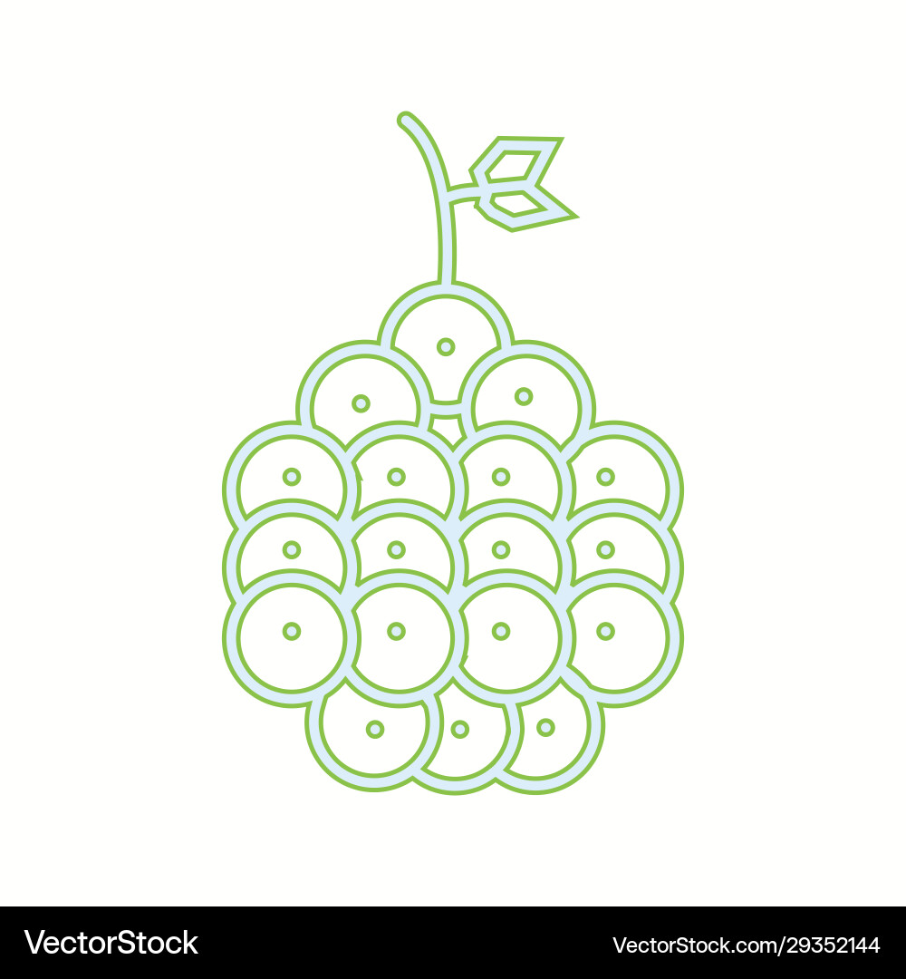 Unique raspberry line icon vector image