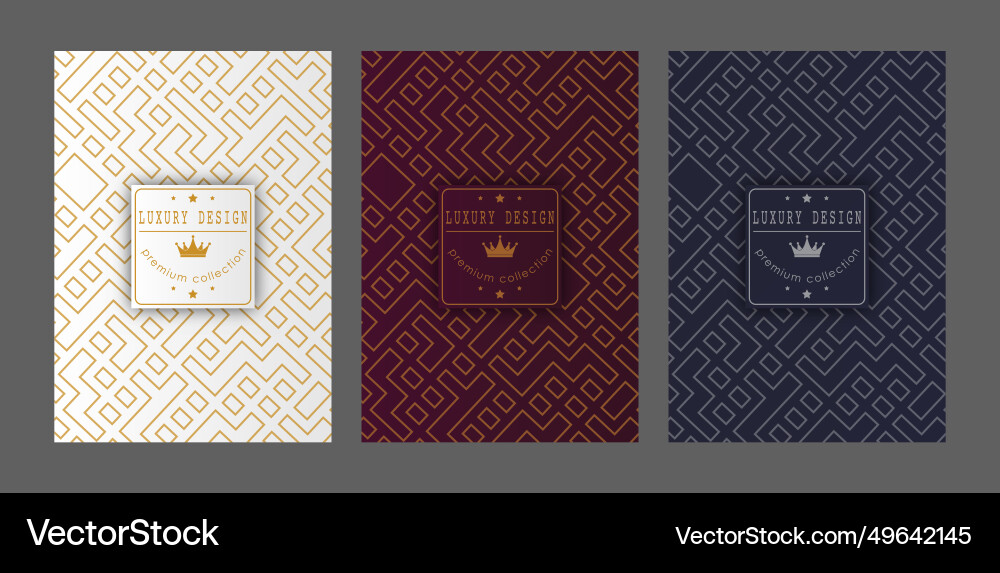 A luxurious pattern set of spectacular patterns A luxurious pattern set of spectacular patterns vector image