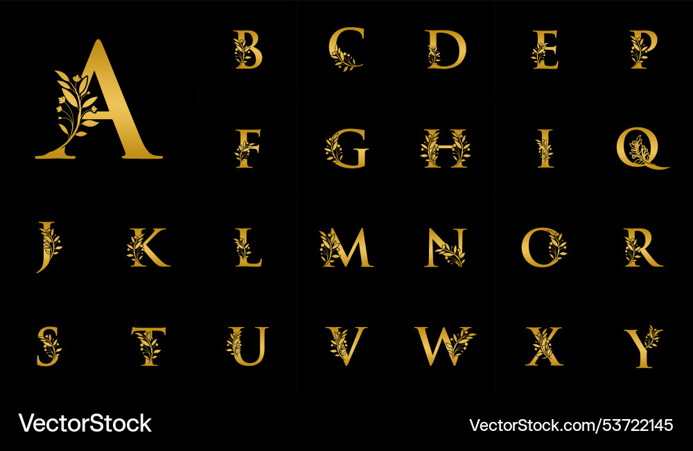 Big set of botanical minimalistic initial letter Big set of botanical minimalistic initial letter vector image