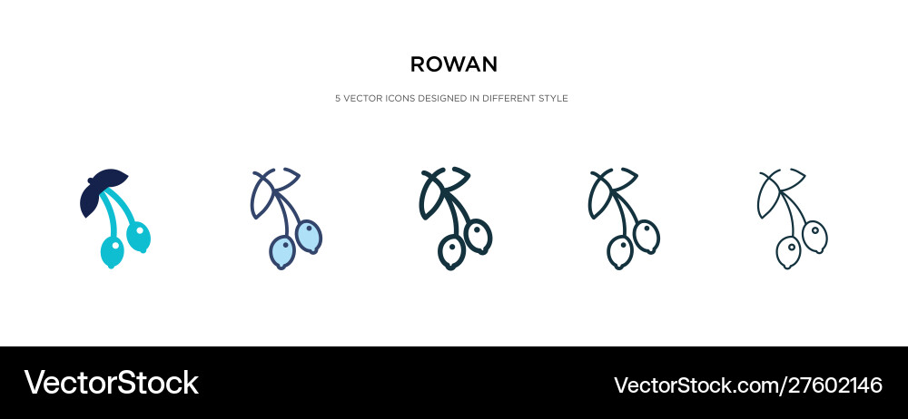 Rowan icon in different style two colored Rowan icon in different style two colored vector image
