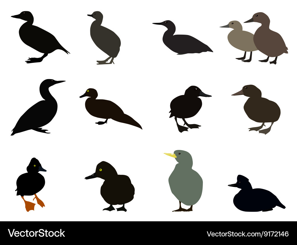 Set of silhouettes different types existing Vector Image