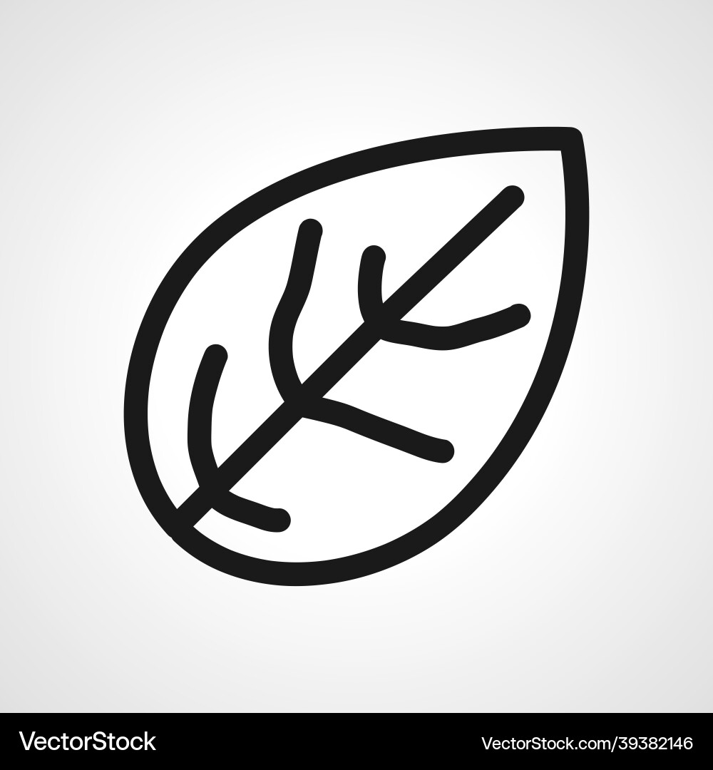 Tree leaf line icon linear outline Vector Image