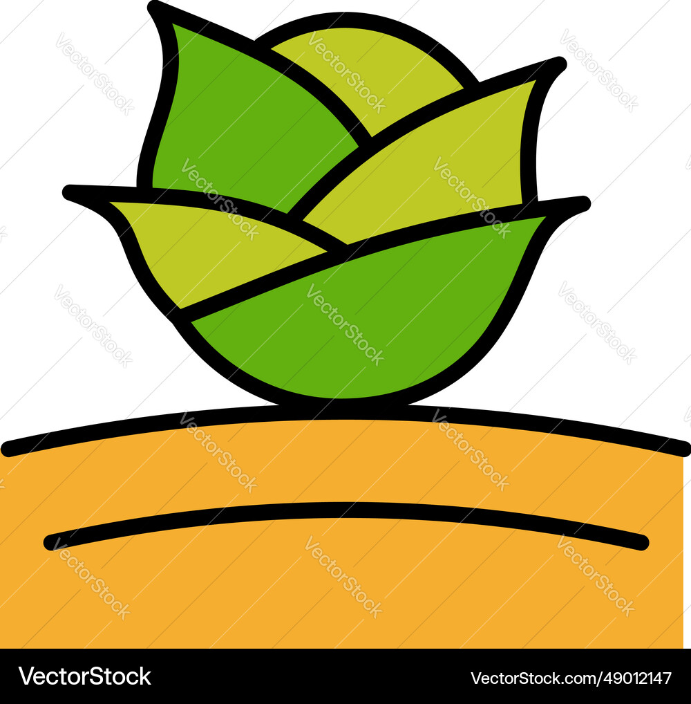 Cabbage icon green organic vegetable and food Cabbage icon green organic vegetable and food vector image