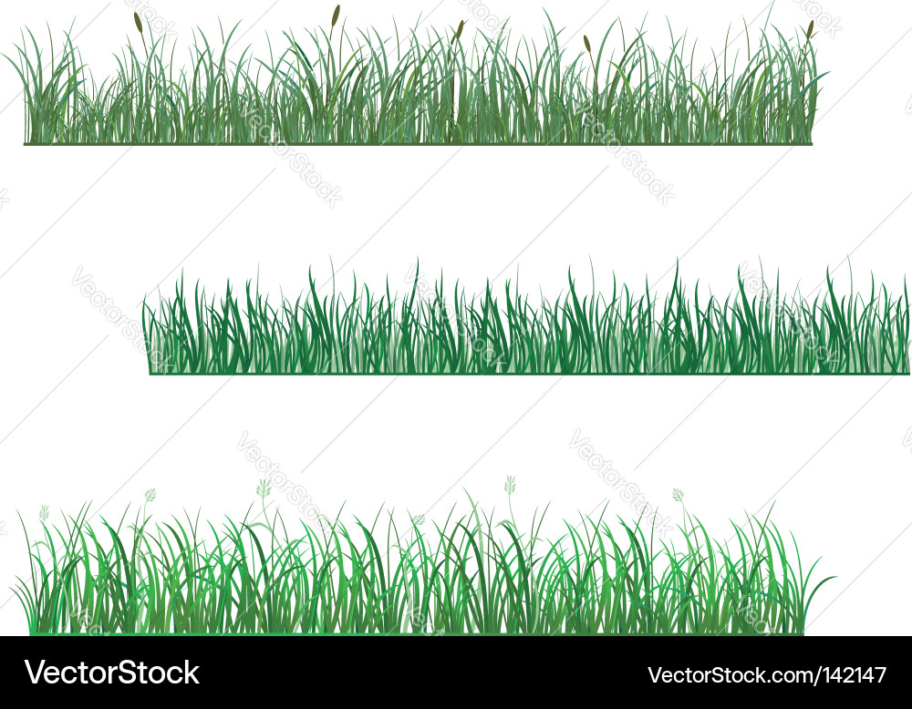 Lush Green Grass Patterns Vector Image