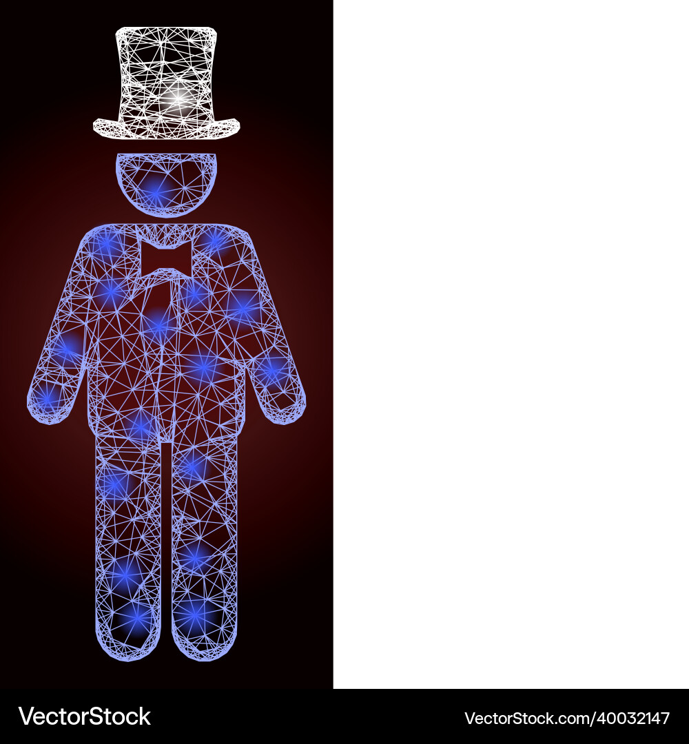 Shiny net mesh gentleman with lightspots Shiny net mesh gentleman with lightspots vector image