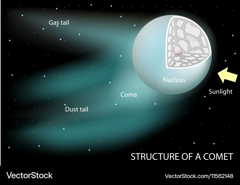 Comet Anatomy: Nucleus, Coma, and Tails Vector Image