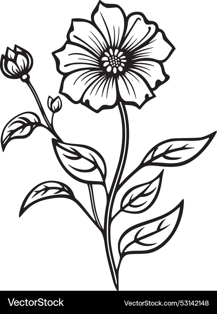 Flower Royalty Free Vector Image - VectorStock