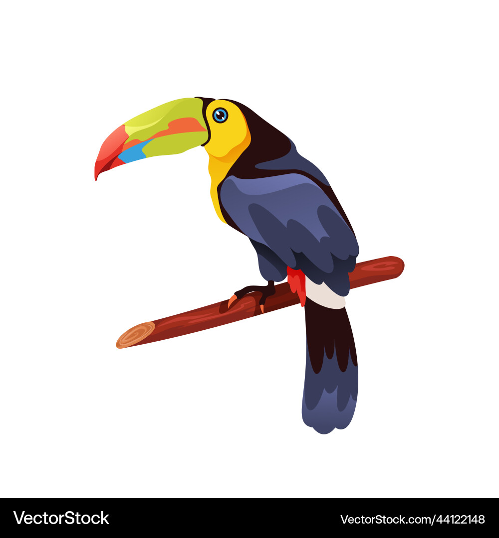 Keel billed toucan bird icon or clipart vector image