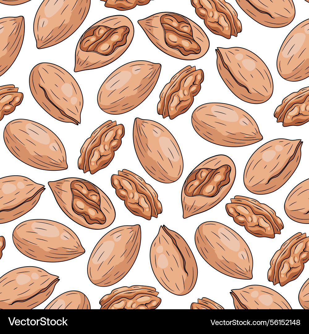 Seamless pattern with pecan nuts on white vector image