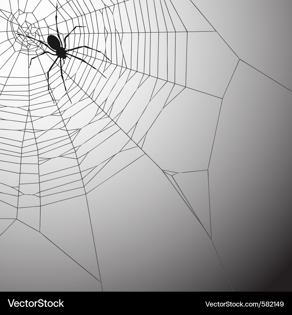 Eerie Spiderweb vector image