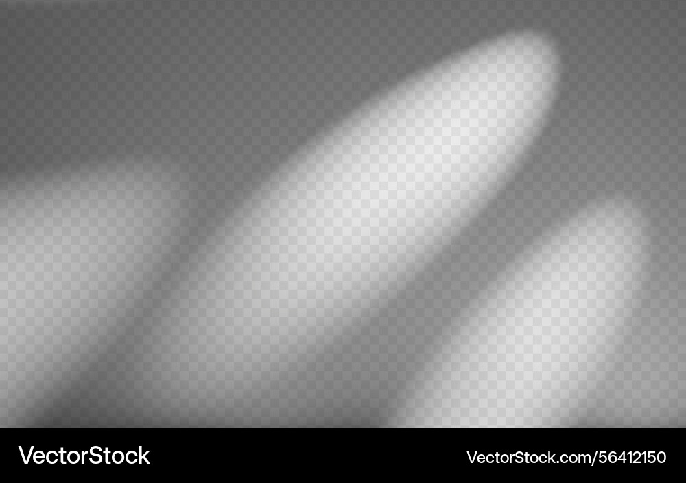 Abstract shadow overlay from tree branch vector image
