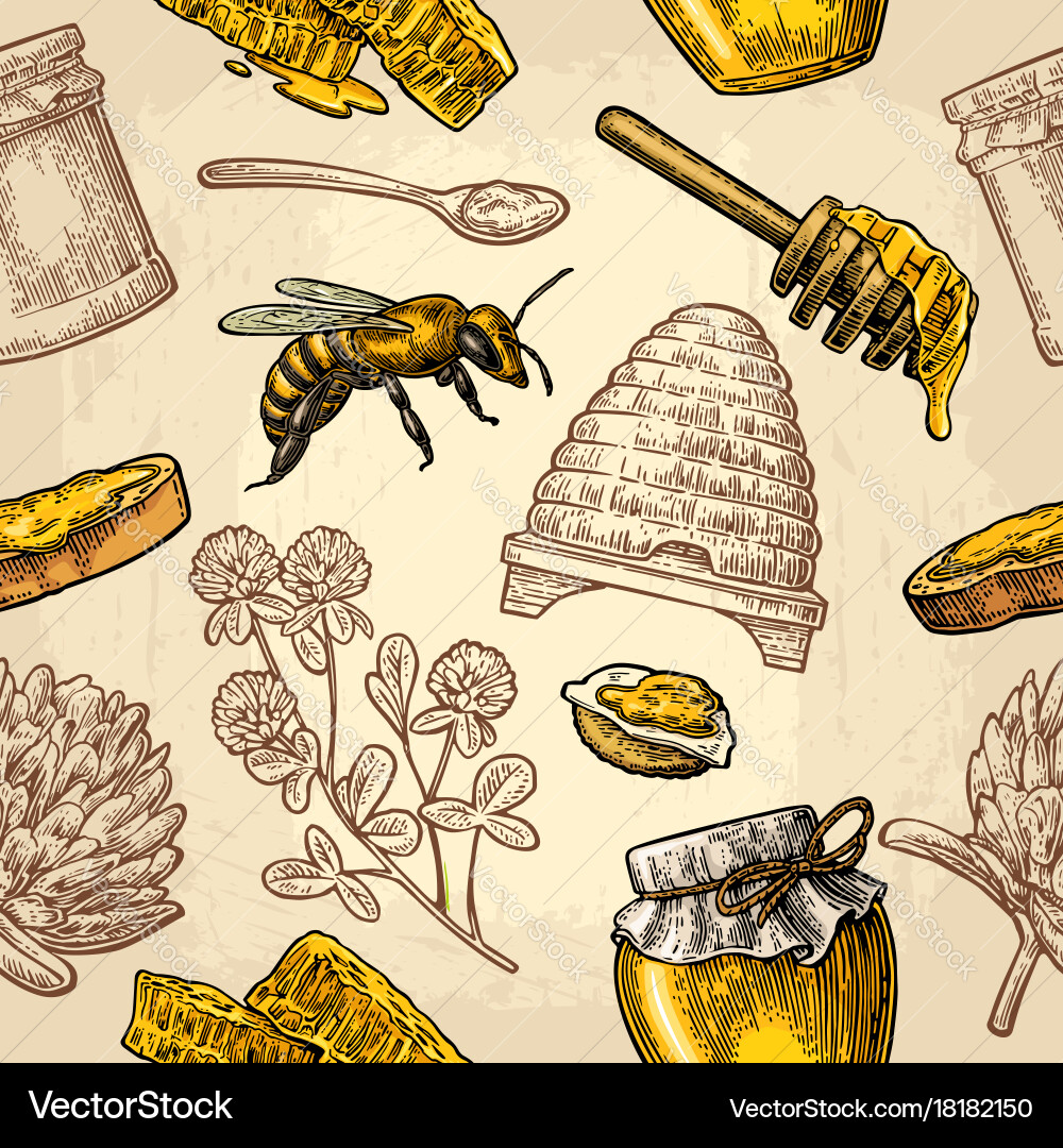 Honeybee & Clover Pattern Vector Image