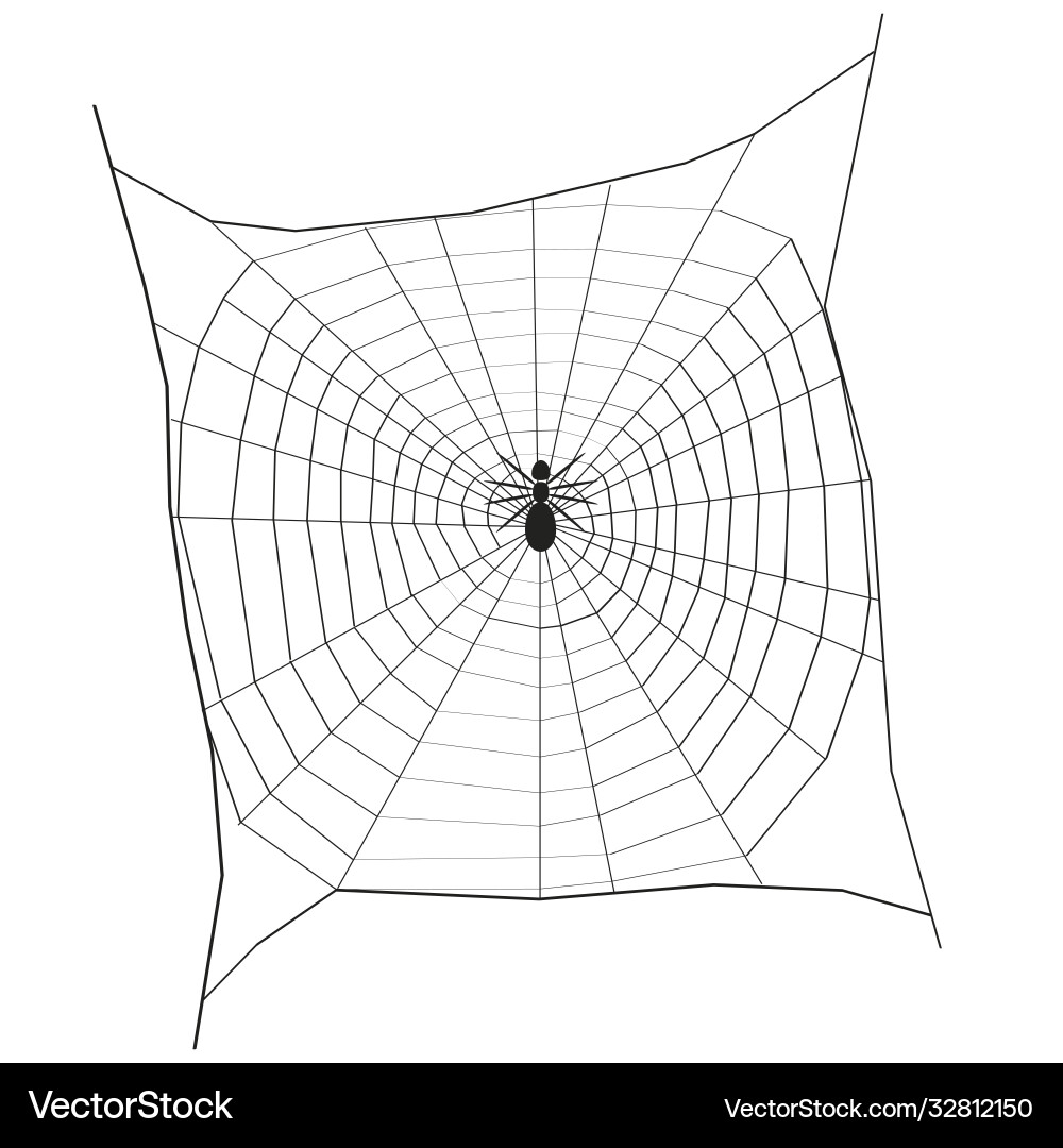 Silhouette a spider on large web view from Silhouette a spider on large web view from Vector Image