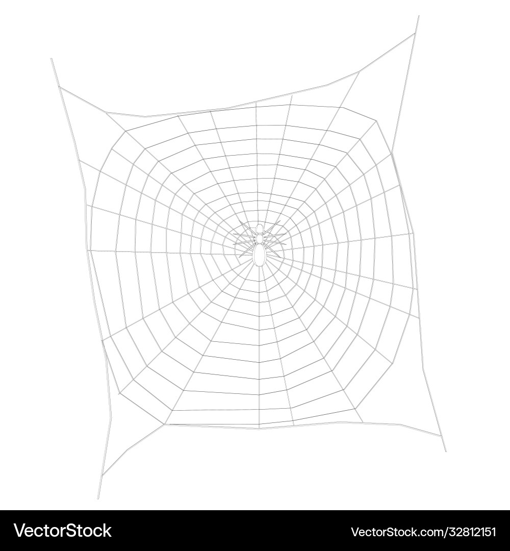 Spider wireframe on a large web view from above Spider wireframe on a large web view from above Vector Image