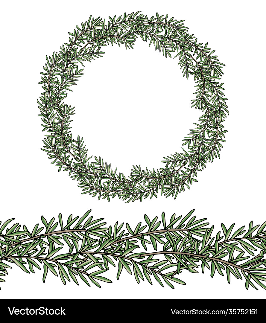 Wreath garland branch rosemary and seamless Vector Image