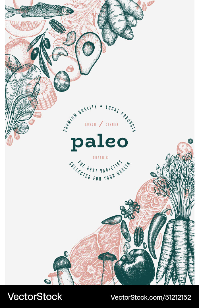 Paleo diet design template hand drawn healthy vector image