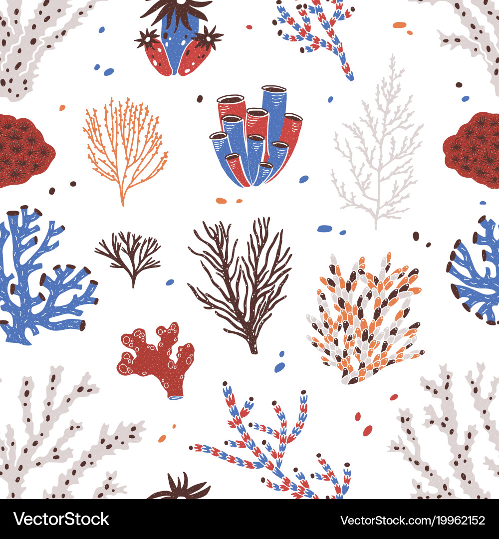 Seamless pattern with various corals and seaweed Vector Image