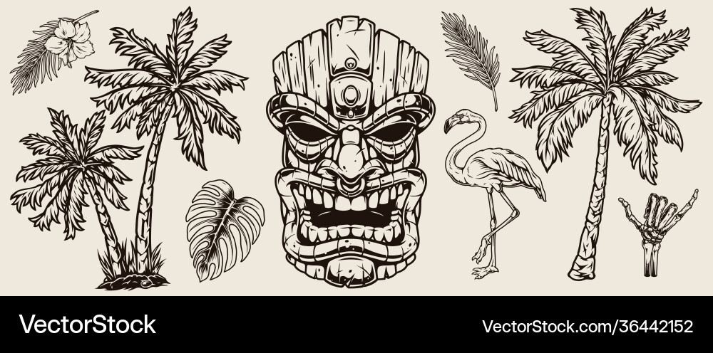 Tropical Hawaiian Elements Vector Image