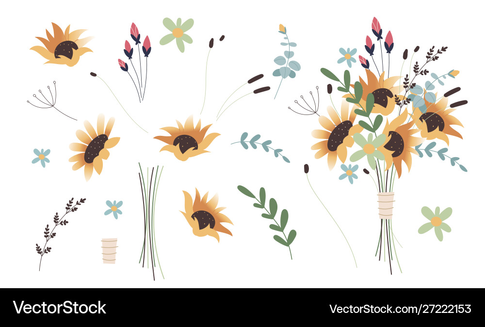 Collection detailed drawings trendy vector image