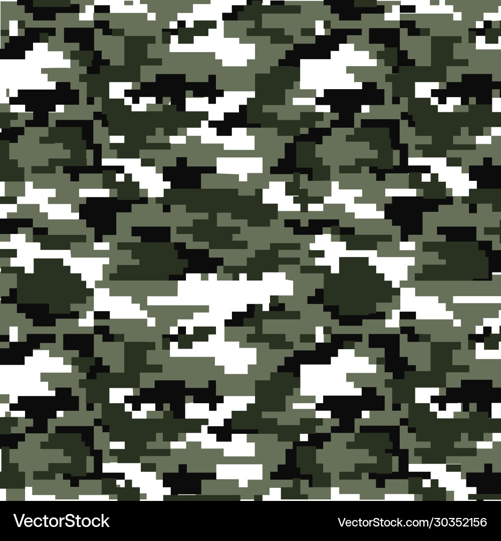 Abstract background pixel camo flag pattern 2 vector image