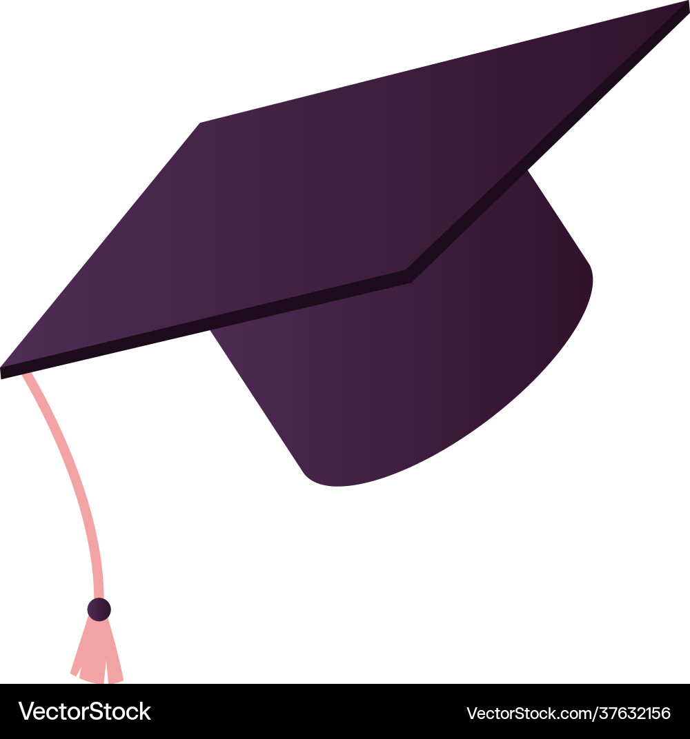 Graduation cap icon Graduation cap icon vector image