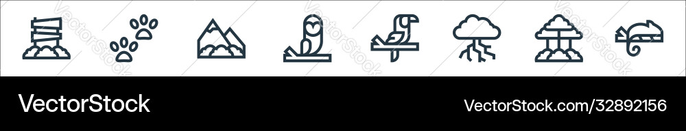 Jungle line icons linear set quality Vector Image