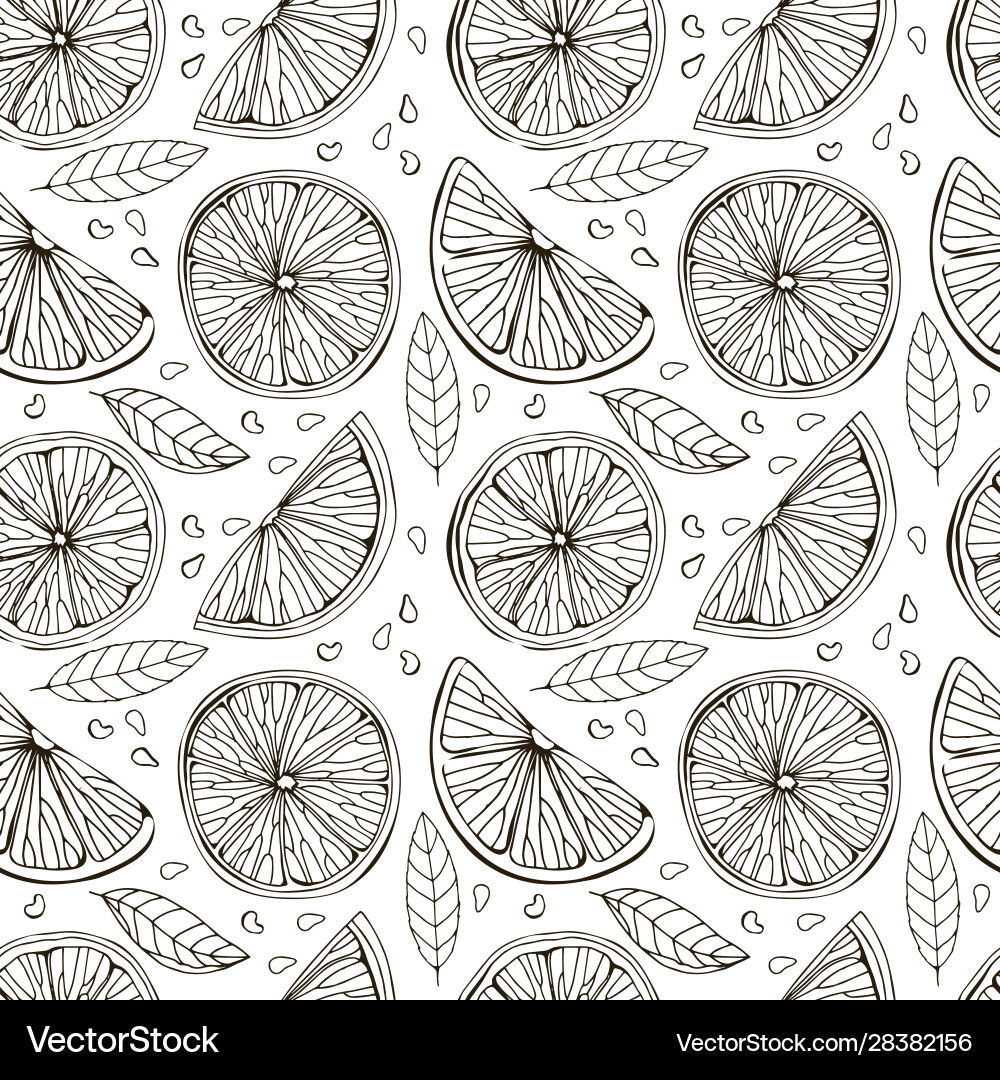Seamless pattern lemon itrus lime isolated Seamless pattern lemon itrus lime isolated vector image